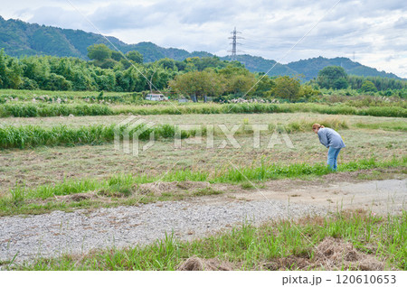 畑と女性　農家　散歩 120610653