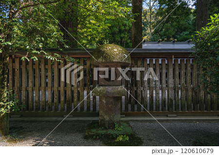 宮﨑 天岩戸神社 参道の苔むした石灯籠 120610679