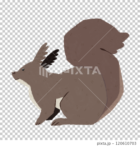 Ezolith Ezolith 120610703