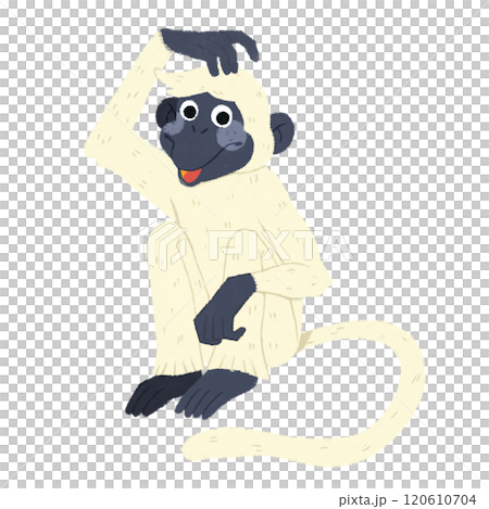 monkey monkey 120610704