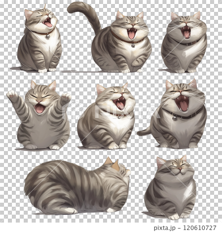 太っている猫のイラスト集 120610727