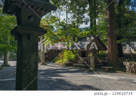 宮﨑 天岩戸神社 西本宮の参道風景 120610734