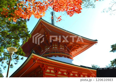 紅葉の高野 120610983