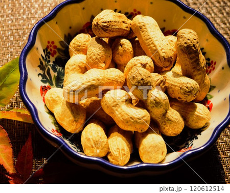 小鉢の落花生 1 小鉢の落花生 1 120612514