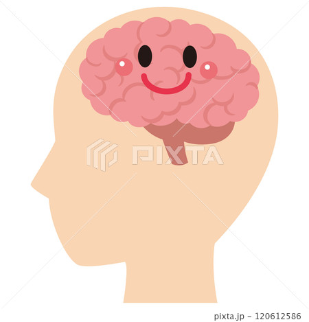 脳のイメージ　健康 120612586