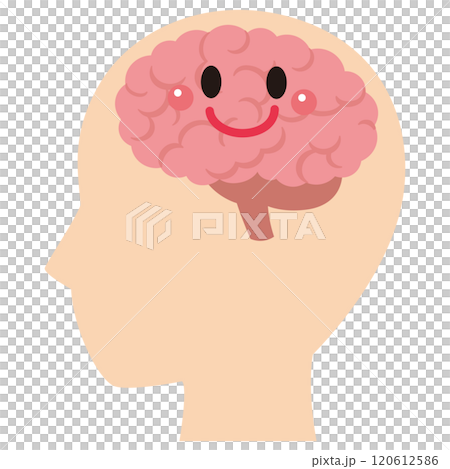 脳のイメージ　健康 120612586
