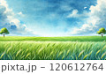 青空と草原の水彩画風イラスト 120612764
