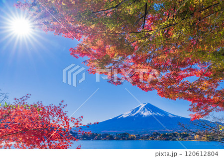 【山梨県】河口湖畔のモミジ紅葉と富士山 120612804
