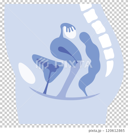 Uterus, cross section of female reproductive system, gynecology, medical 120612865