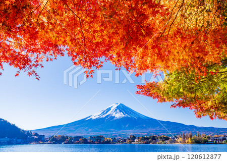 【山梨県】河口湖畔のモミジ紅葉と富士山 120612877
