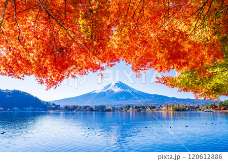 【山梨県】河口湖畔のモミジ紅葉と富士山 120612886