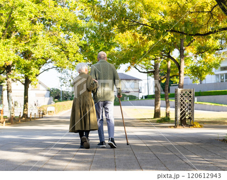 杖をついた男性と介助する女性のシニアカップル 120612943