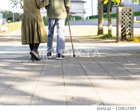 杖をついた男性と介助する女性のシニアカップル 120612997