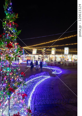 道の駅ららん藤岡のイルミネーション 120613124