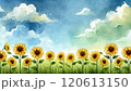 青空とひまわりの水彩画風イラスト 120613150