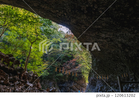 宮﨑 天岩戸神社 仰慕窟洞窟 宮﨑 天岩戸神社 仰慕窟洞窟 120613202