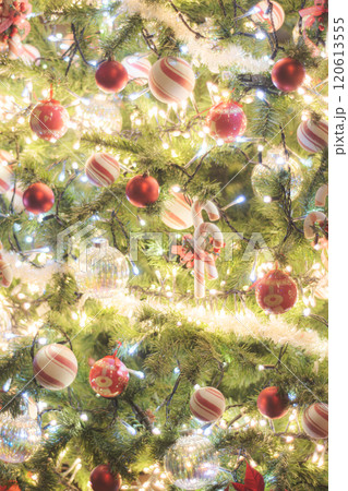 クリスマスイルミネーション クリスマスイルミネーション 120613555