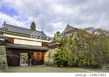 上田 上田城跡公園 上田城東虎口櫓門 長野県上田市 上田 上田城跡公園 上田城東虎口櫓門 長野県上田市 120613801