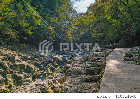 宮﨑 天岩戸神社 120614049