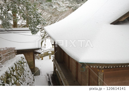 糸島の雪景色 糸島の雪景色 120614141