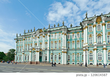 View Winter Palace 120614387