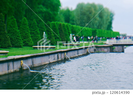 Canal in Peterhof Palace Canal in Peterhof Palace 120614390