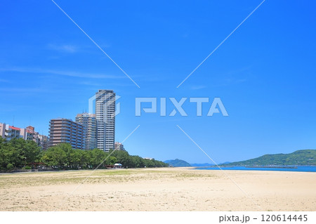 海の近くに住む 120614445