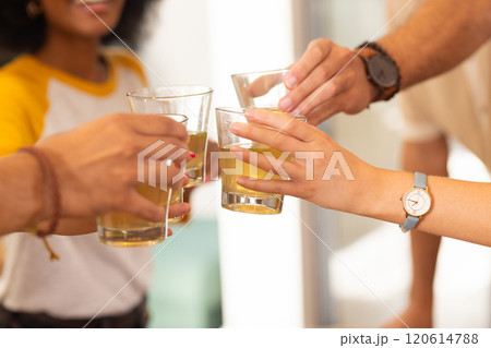 Friends toasting with glasses of juice, celebrating and enjoying together Friends toasting with glasses of juice, celebrating and enjoying together 120614788