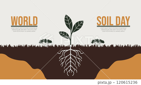 Understanding Soil Health on World Soil Day 120615236