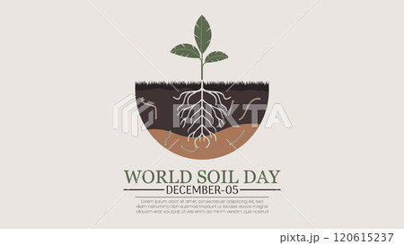 Understanding Soil Health on World Soil Day 120615237