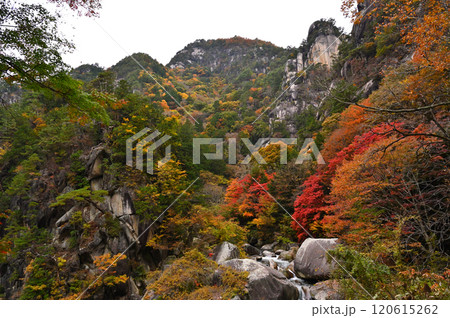 【山梨県】紅葉真っ盛りの昇仙峡 120615262