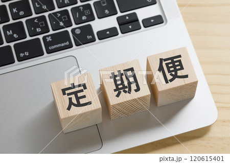 定期便と書かれた積み木のブロック 定期便と書かれた積み木のブロック 120615401