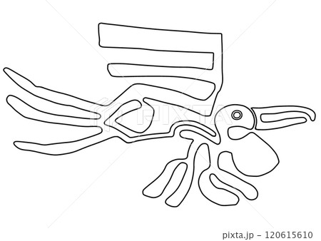 ナスカの地上絵　ペリカン 120615610