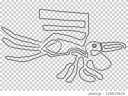 納斯卡線條鵜鶘 120615610