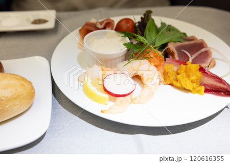 ビジネスクラスの機内食のオードブル 120616355