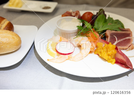 ビジネスクラスの機内食のオードブル 120616356