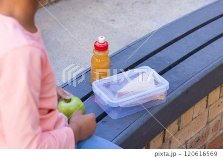 African american girl holding apple with sandwich and juice bottle at school African american girl holding apple with sandwich and juice bottle at school 120616569