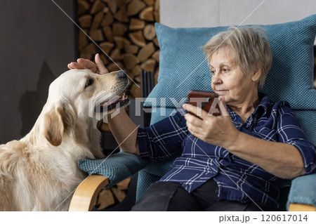 Elderly woman petting a Golden Retriever while holding a smartphone, sharing a moment of affection and relaxation in a cozy setting. 120617014