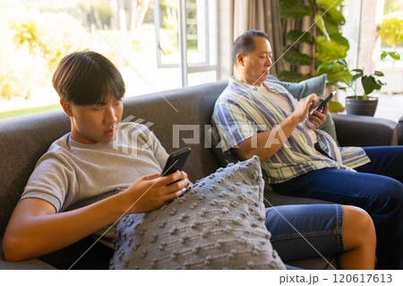 Using smartphones, father and son sitting on couch in living room 120617613