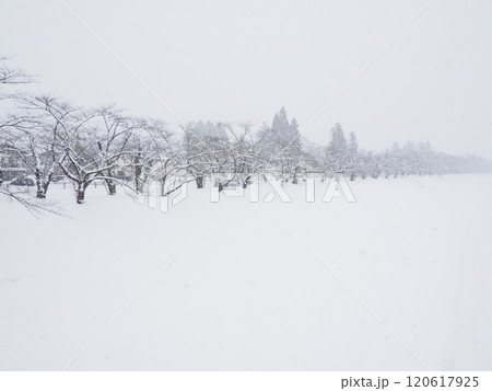 雪国の厳しい冬の景色 雪国の厳しい冬の景色 120617925