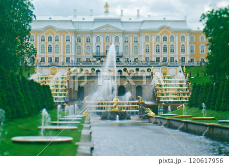Grand cascade .Peterhof Palace 120617956