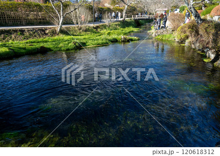 冬の河口湖・山中湖 120618312