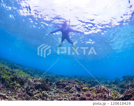 美しいサンゴ礁の海でシュノーケルを楽しむ人 美しいサンゴ礁の海でシュノーケルを楽しむ人 120618429