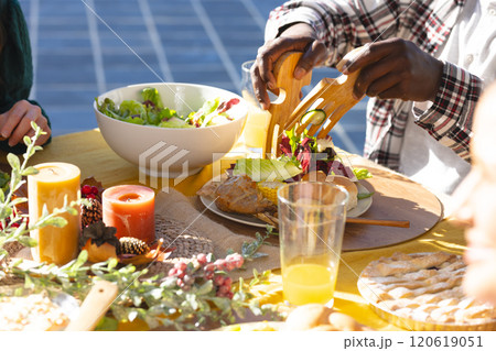 Happy african american man serving meal during thanksgiving celebration meal in sunny garden Happy african american man serving meal during thanksgiving celebration meal in sunny garden 120619051