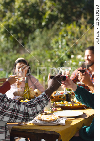 Happy diverse male and female friends toasting during thanksgiving celebration meal in sunny garden 120619293