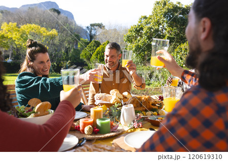 Happy diverse male and female friends toasting during thanksgiving celebration meal in sunny garden 120619310