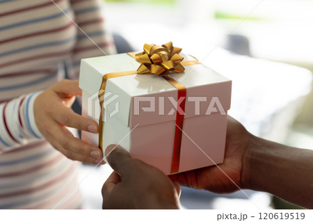 Midsection of diverse couple exchanging christmas gift in sunny room Midsection of diverse couple exchanging christmas gift in sunny room 120619519