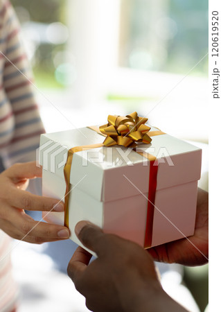 Midsection of diverse couple exchanging christmas gift in sunny room, copy space Midsection of diverse couple exchanging christmas gift in sunny room, copy space 120619520