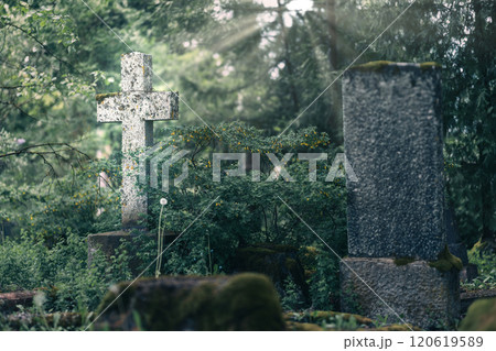 In this peaceful and tranquil cemetery, an ornate cross stands tall amidst the lush greenery and dappled sunlight 120619589