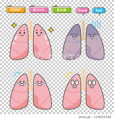 肺のキャラクターイラスト 120620180